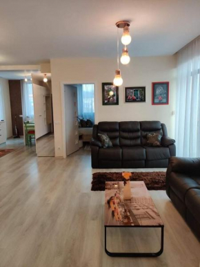 Luxury apartment in central residential area